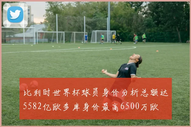 比利时世界杯球员身价分析总额达5582亿欧多库身价最高6500万欧