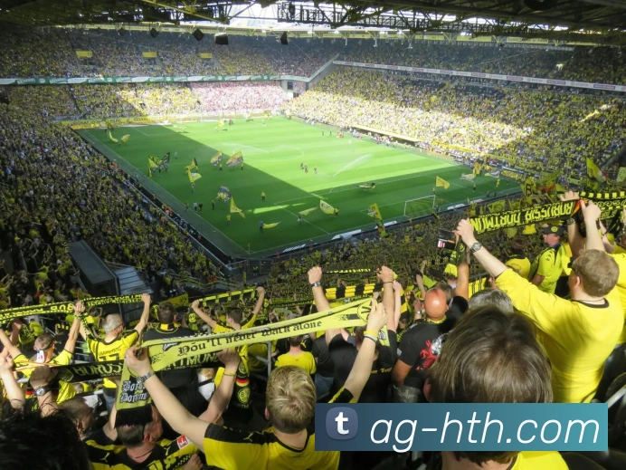 华体会服务体系